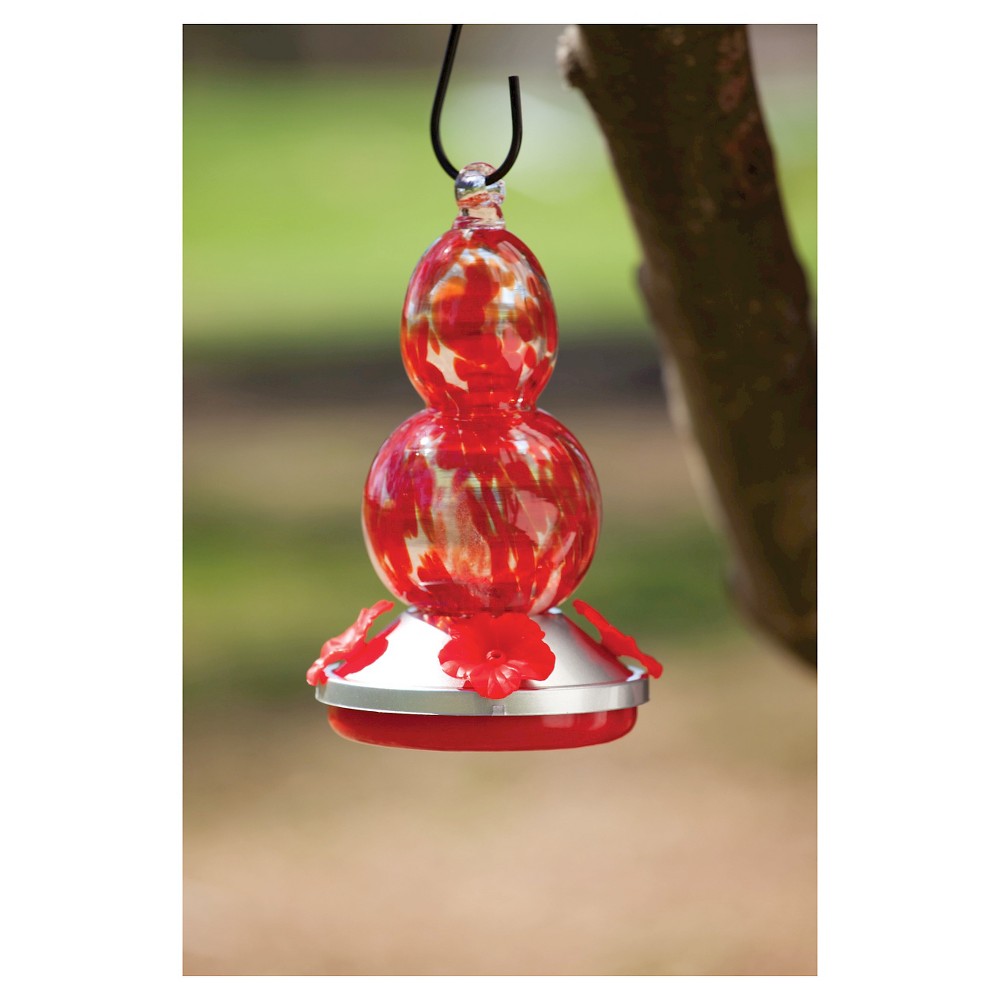 UPC 746851532771 product image for Hummingbird Feeder: Glass hummingbird feeder: Red | upcitemdb.com