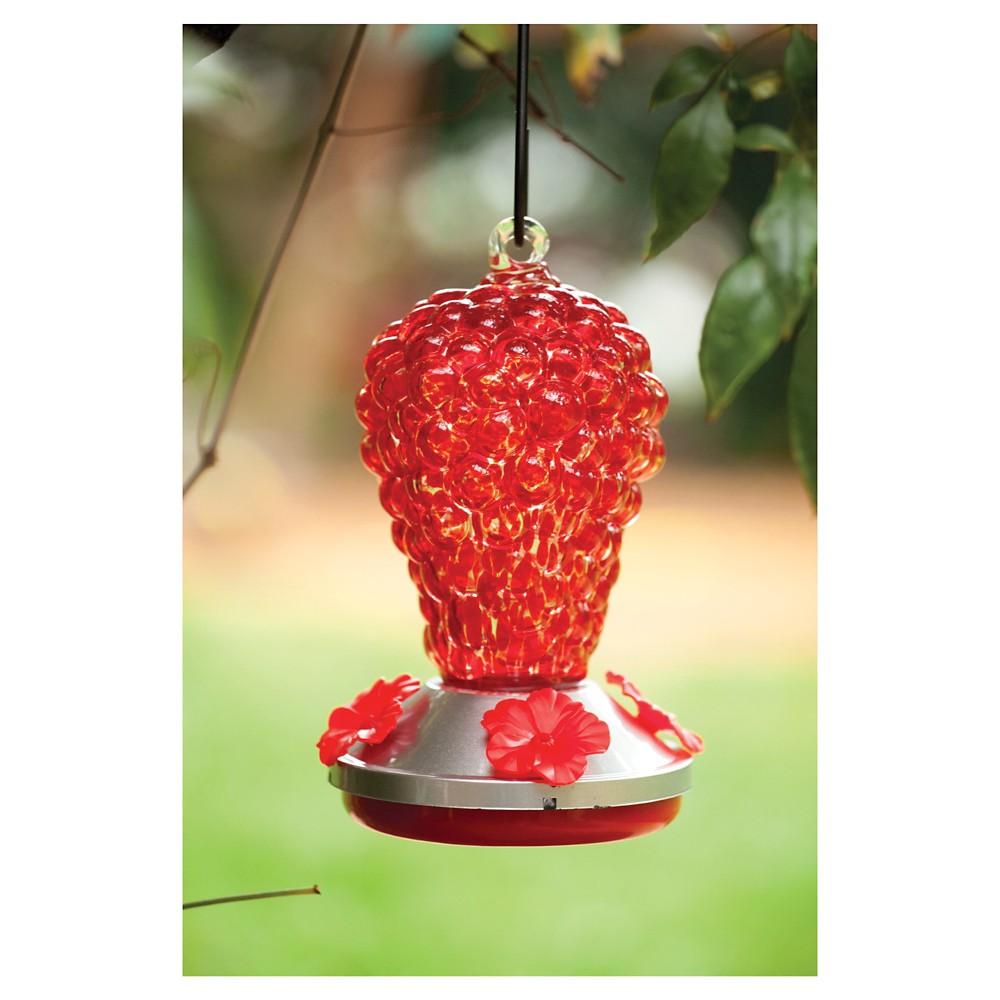 UPC 746851532764 product image for Bird Feeder: Glass hummingbird feeder top feeder red grapes Red: Evergreen | upcitemdb.com