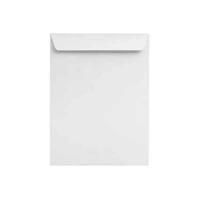 Lux X Open End Envelopes Pack Lb Bright White Target