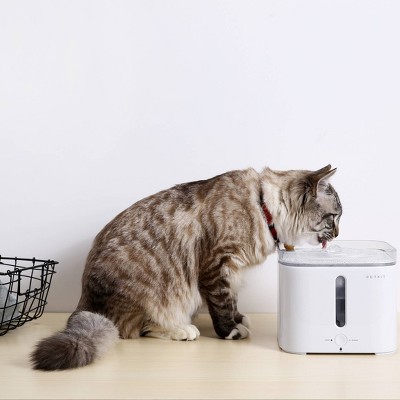 Target pet outlet fountain