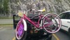 schwinn lulu pink cruiser