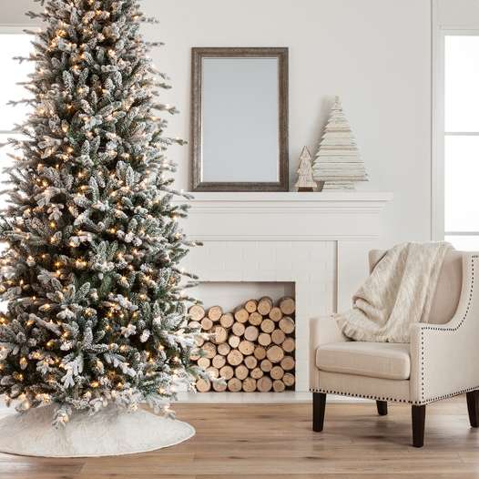 Christmas Trees : Target