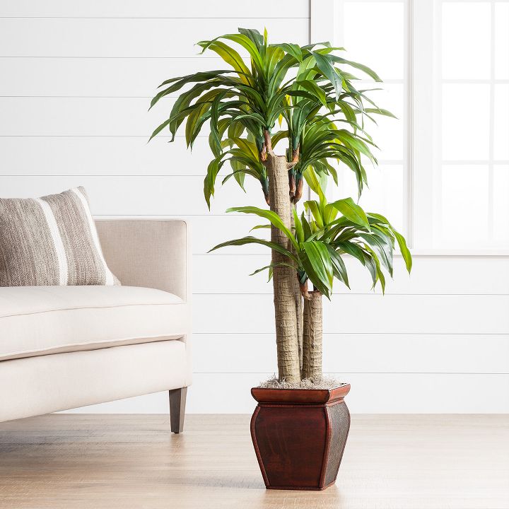 Artificial Flowers & Plants, Home Accents, Home Decor : Target