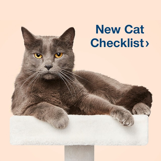 New Cat Checklist