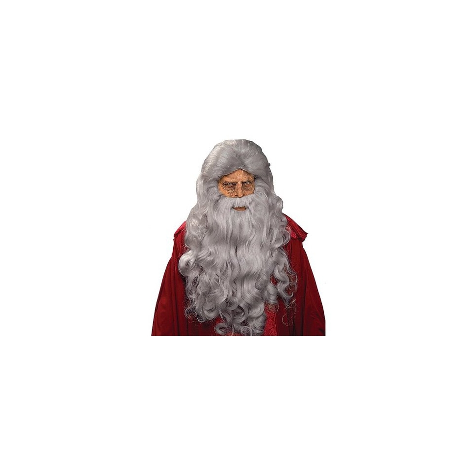 Adults Moses Wig and Beard   Gray