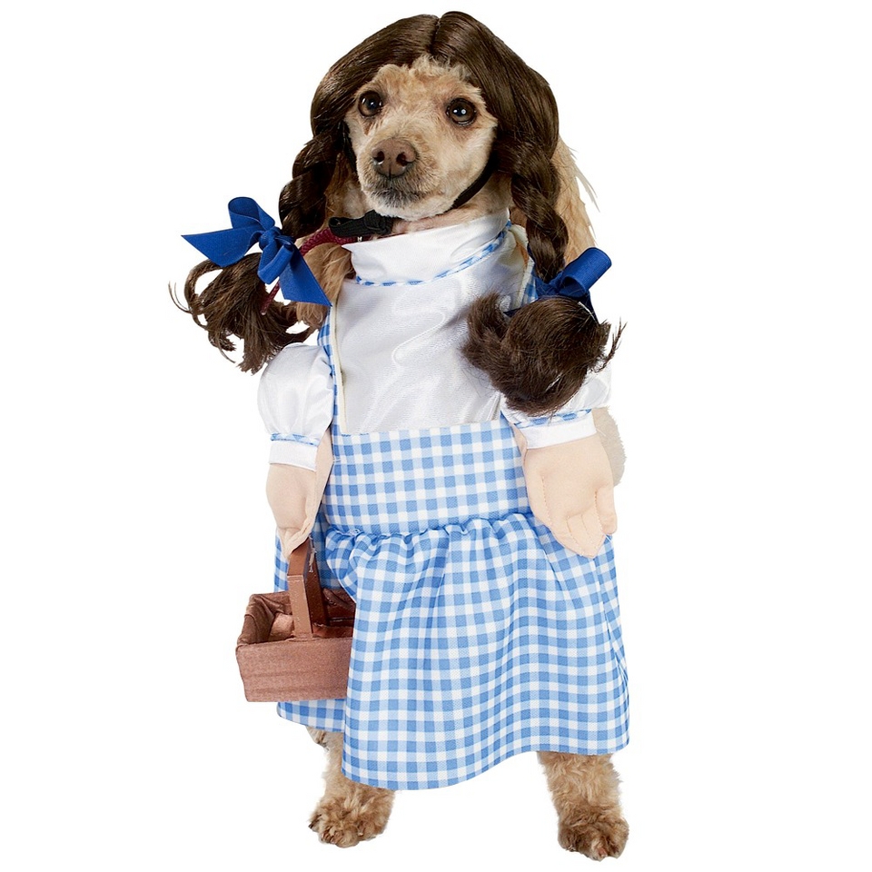 Wizard of Oz Dorothy Pet Costume   M