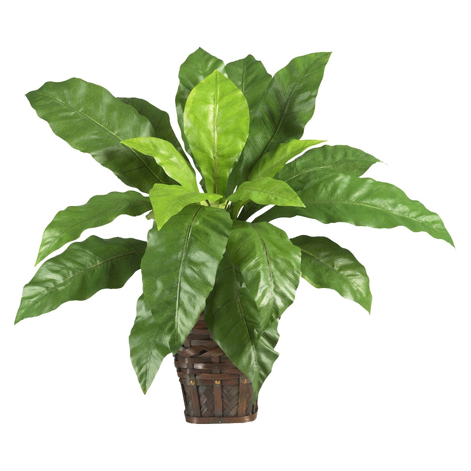 Faux Plant   Birds Nest Fern