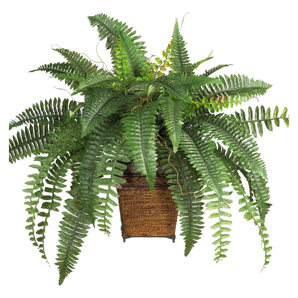 Faux Plant   Boston Fern