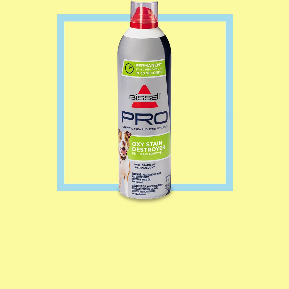 Bissell Oxy Stain Destroyer Pet Target
