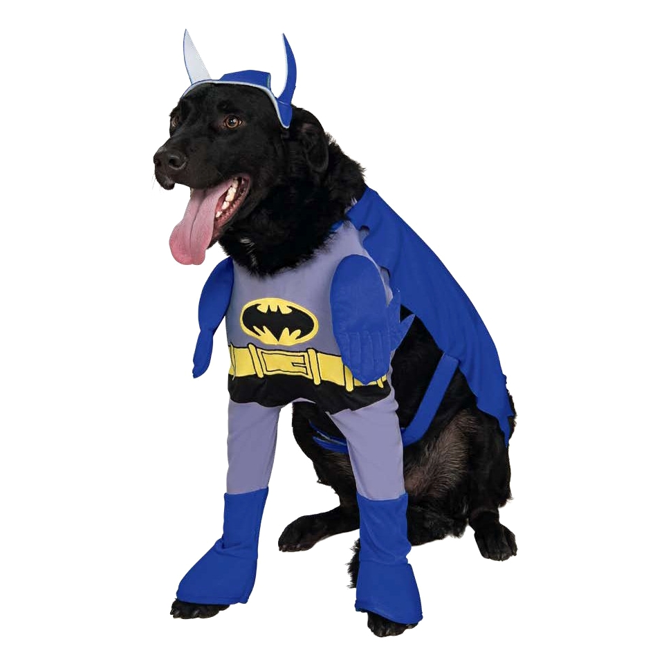 Batman Brave & Bold Pet Costume   Large