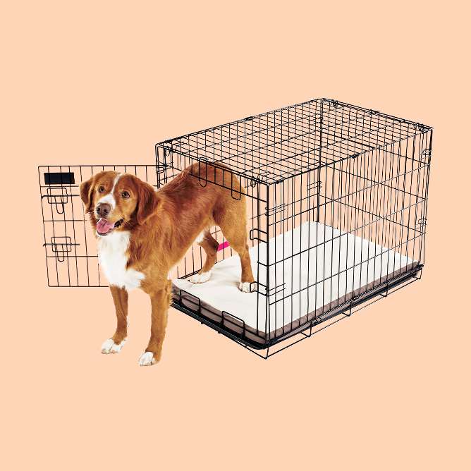 Kennels Direct Premium Plastic Dog Kennel and Travel Crate XL