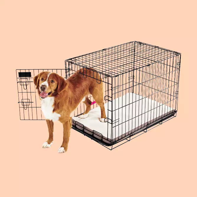 The Best Dog Crates Of 2023 Reviews By Wirecutter | atelier-yuwa.ciao.jp