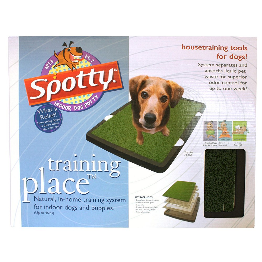Spotty Indoor Dog Potty, Multi-Colored