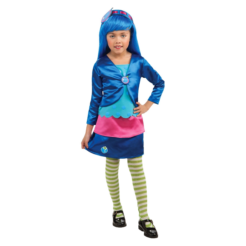 Girls Strawberry Shortcake   Blueberry Muffin Deluxe Costume