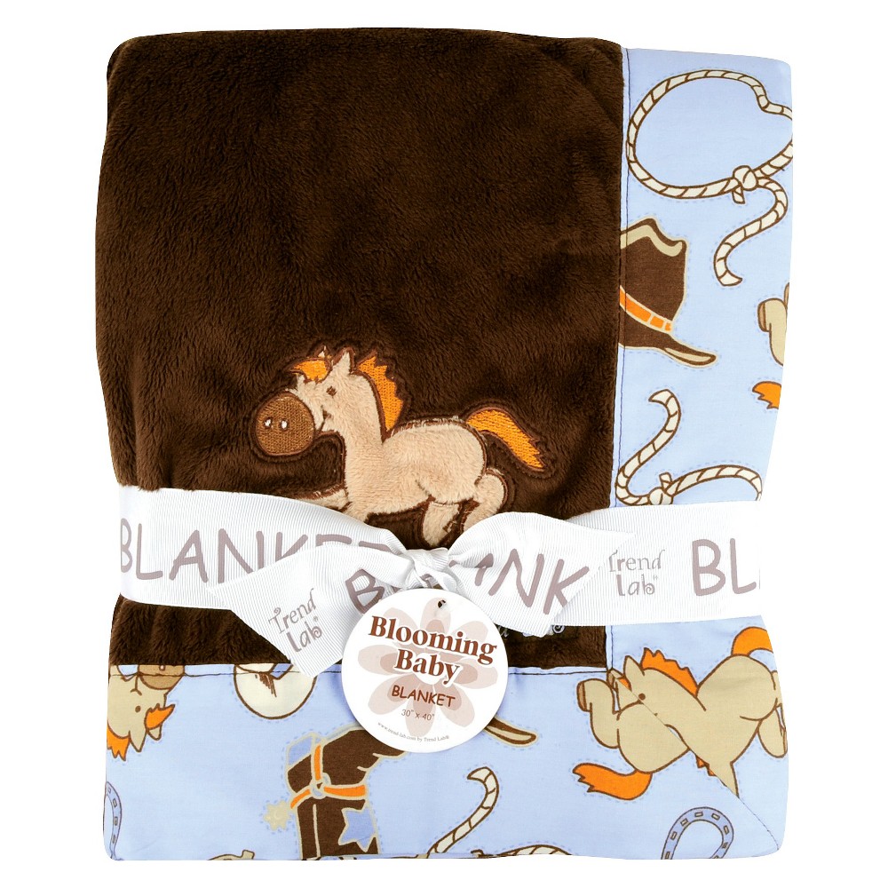 Cowboy Blanket, Baby Blanket
