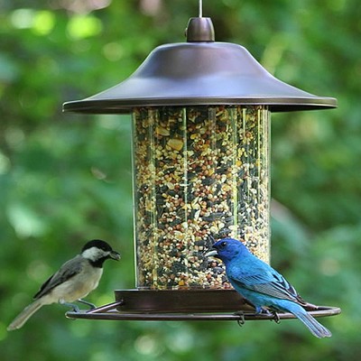 Bird Baths & Bird Feeders : Target