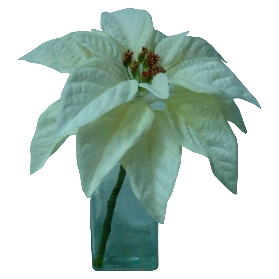 Poinsettia 9 in Glass Vase