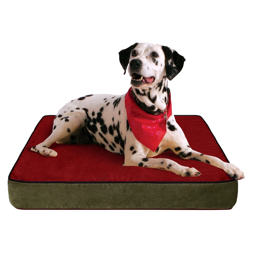 Buddy Beds Memory Foam Dog Bed Colorado Mountain   (Medium)