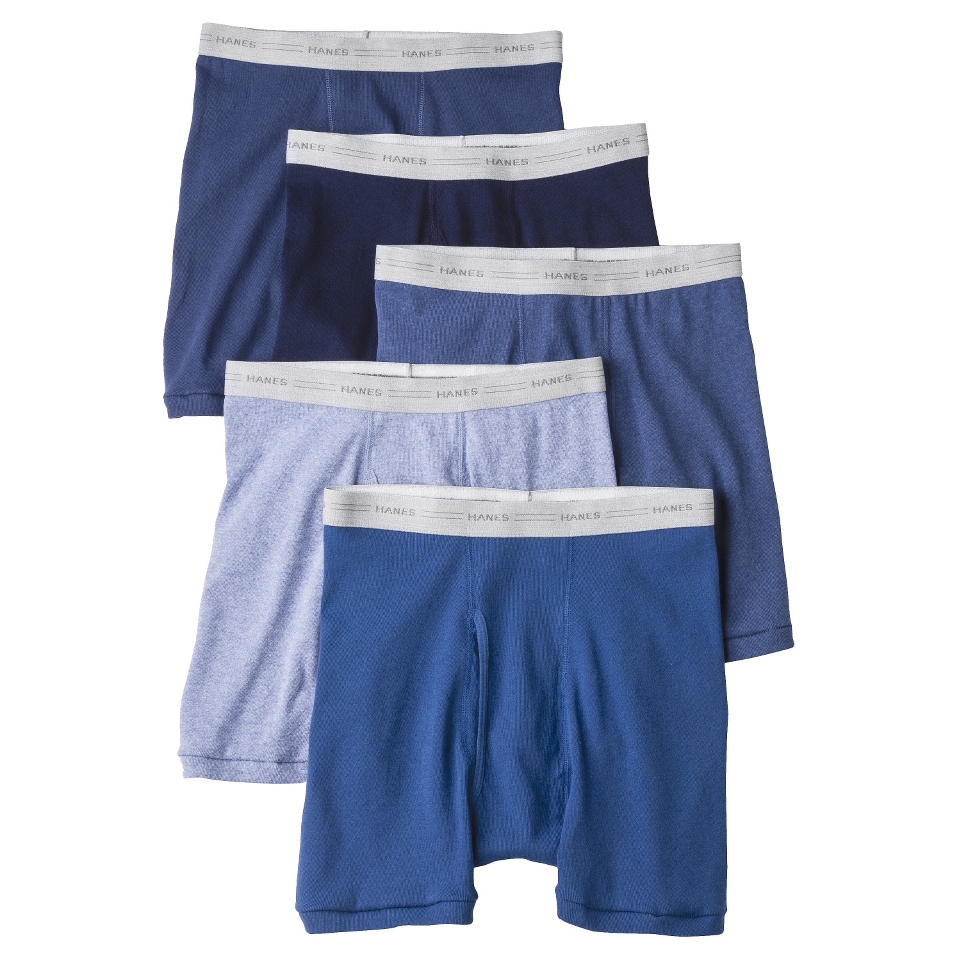 Hanes Mens 5pk Boxer Briefs   Blue   M