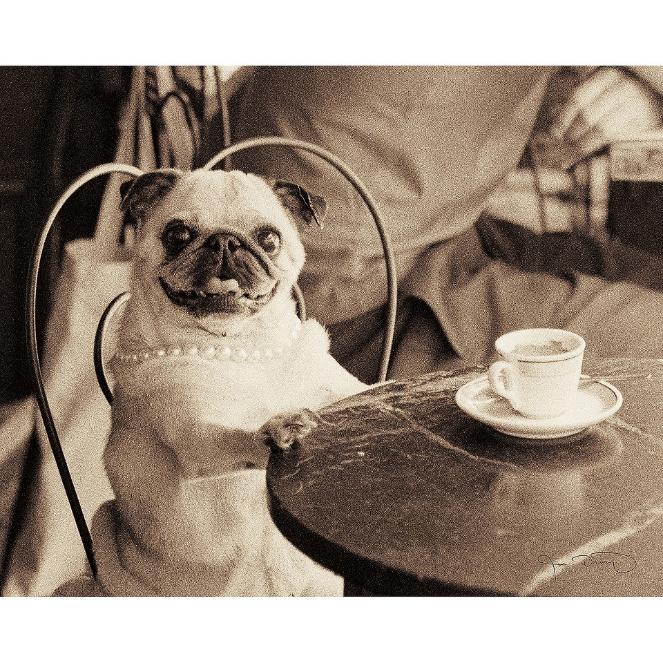 Art   Cafe Pug Mounted Print