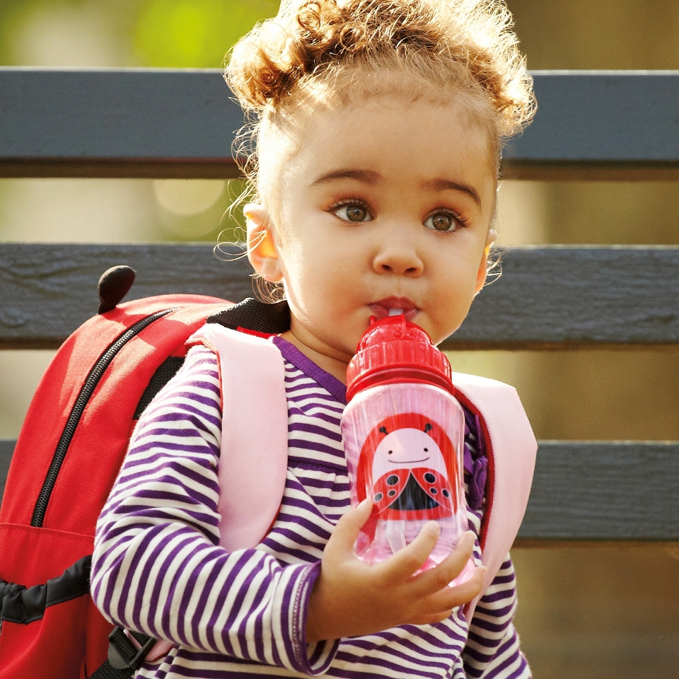 Zoo Flip Straw Bottle   Ladybug by Skip Hop