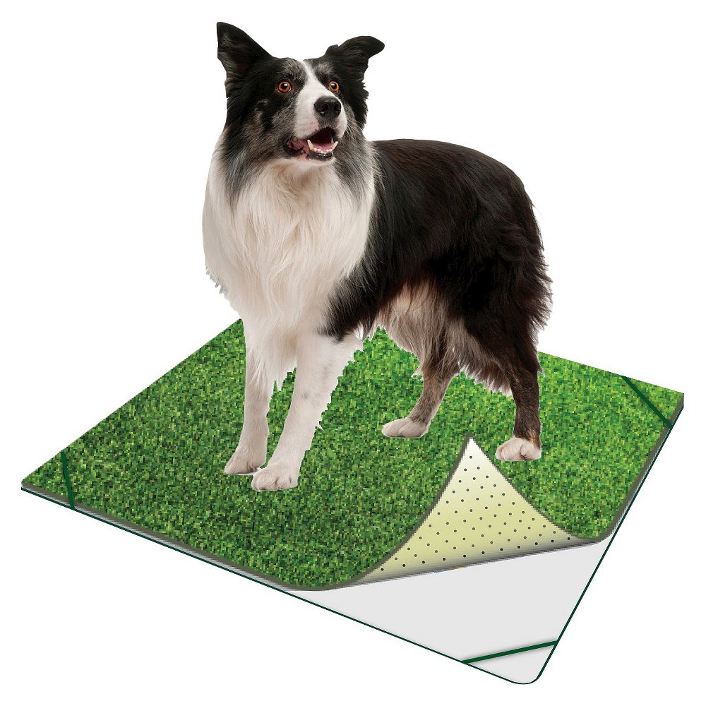 PoochPad Indoor Turf Potty Traveler for Dogs - Large