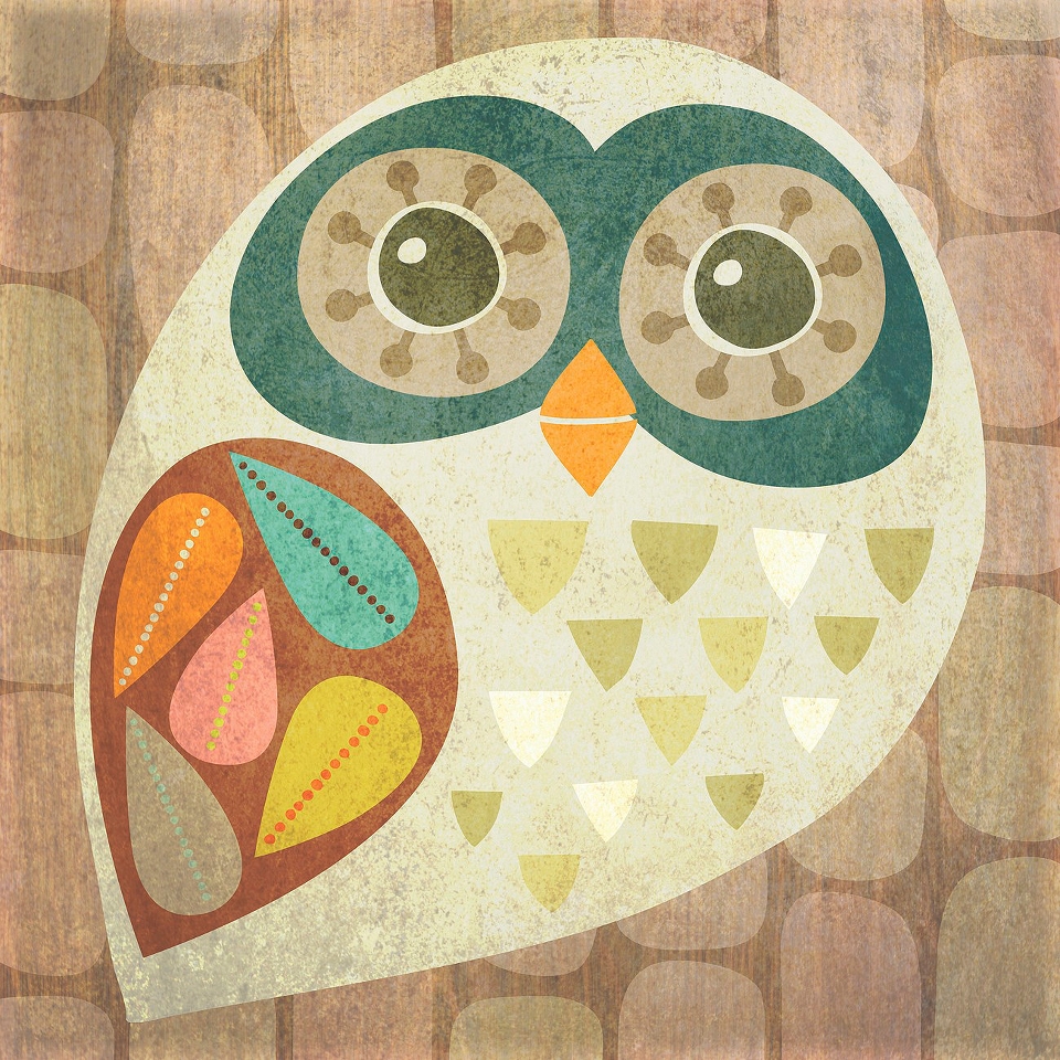 Canvas Owl   Orange 12x12