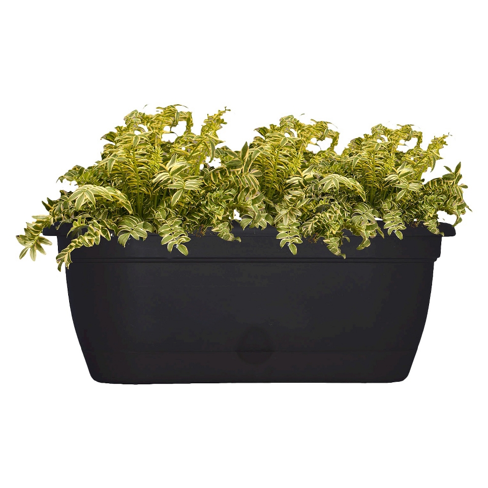 Bloem 18 Lucca Window Box Black