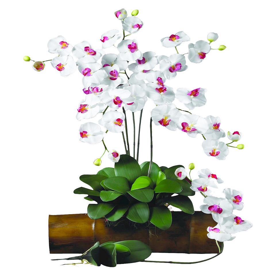 Nearly Natural Art Stems Arrangement Orchid   White (31.5)