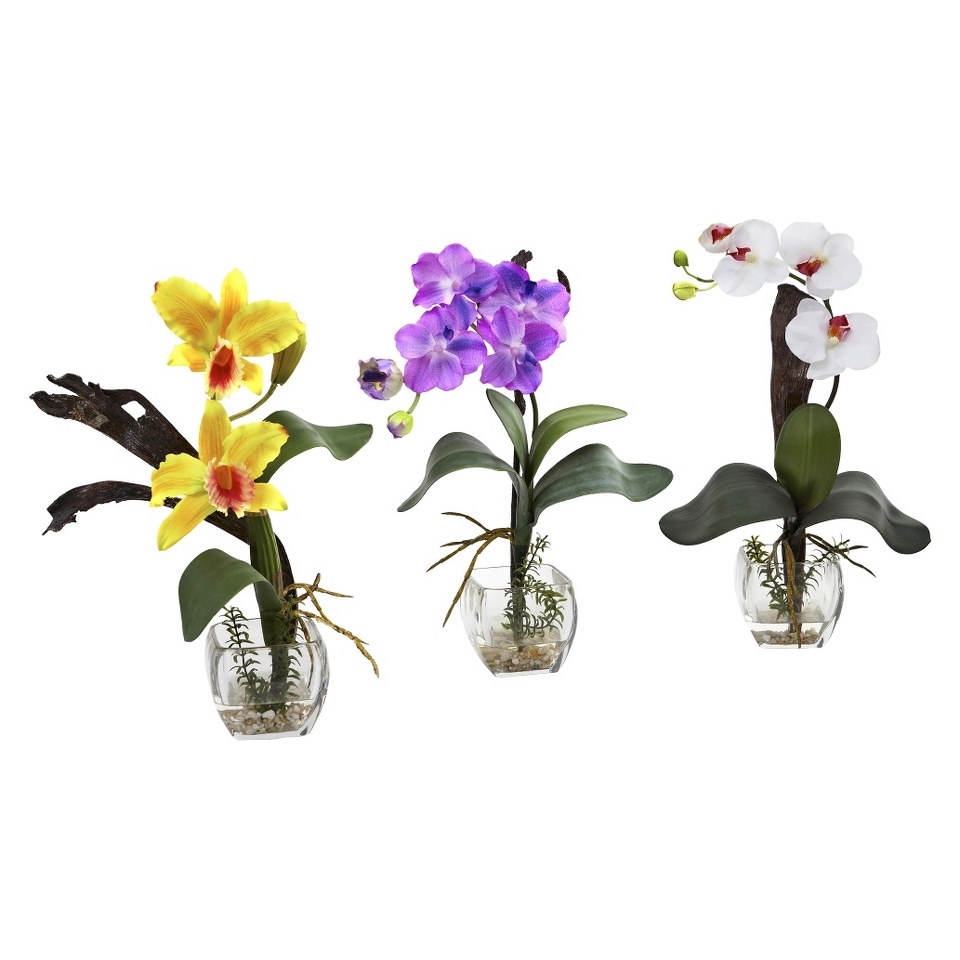 Nearly Natural Arrangement   Orchid Multicolor (14.5)