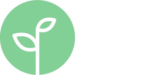 Plant Based