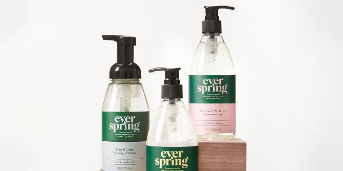 Everspring Review: Do Target's New Household Products Really Work? -  Michael Saves