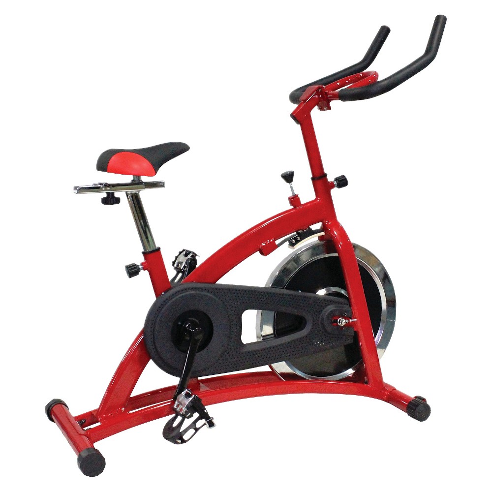 UPC 878932005345 product image for Body Champ ERG2060 Pro Cycle Trainer | upcitemdb.com