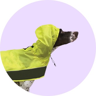 target dog life jacket