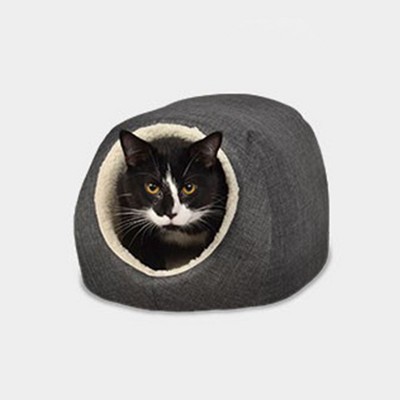 Cheap cat outlet beds near me