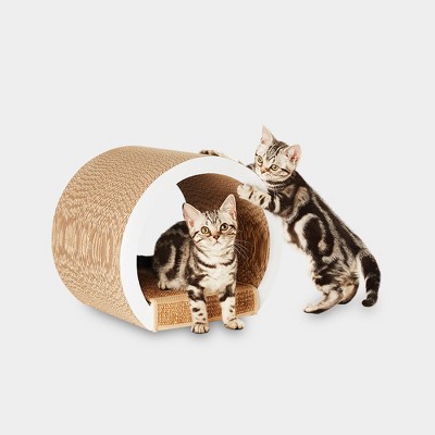 cat scratch tunnel