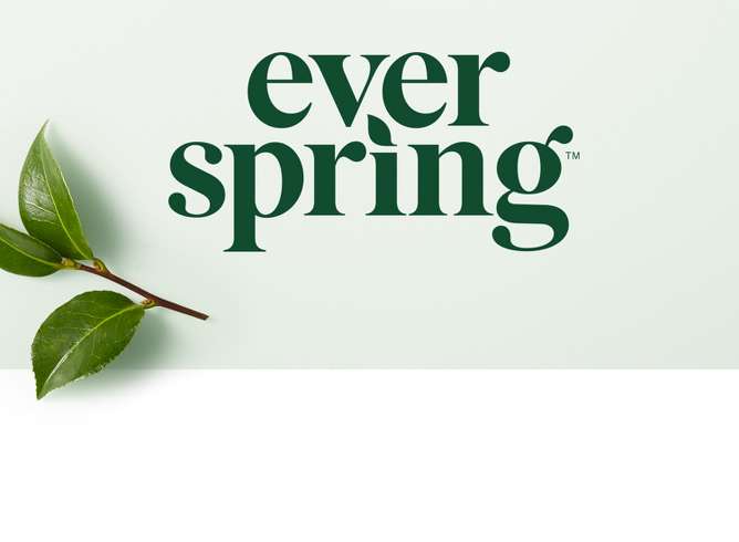 Everspring for Target — Brand Vision Group