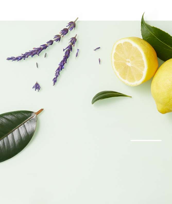 Lemon & Mint 100% Soy Wax Candle - Everspring™ : Target