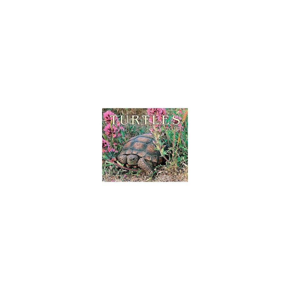 Turtles 2017 Calendar, Books