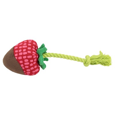 Chocolate covered hotsell strawberry dog toy