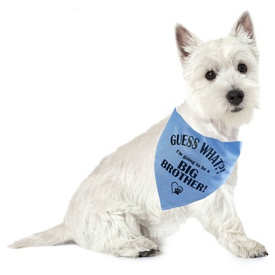 Pet Halloween Costumes Target Pet Halloween Costumes Target