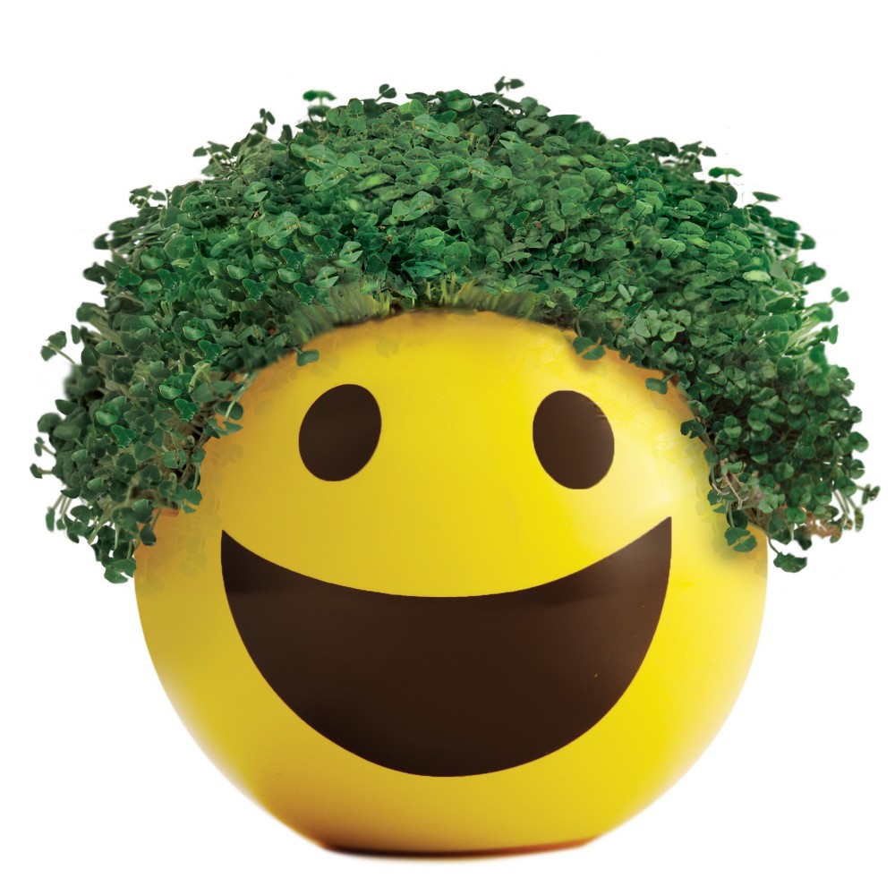 Chia Pet UPC & Barcode | upcitemdb.com