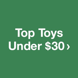 Top Toys Under $30