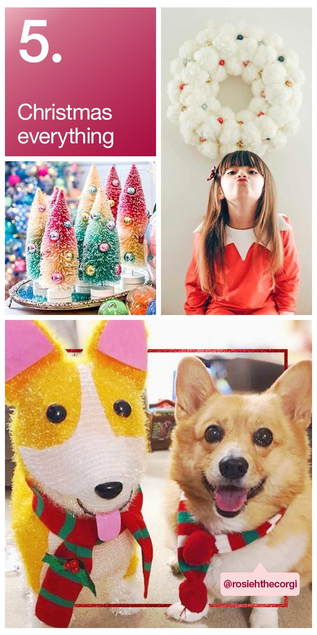 @rosiehthecorgi 5. Christmas everything