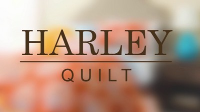 Harley Reversible Blue and Tangerine Microfiber Full Quilt Set