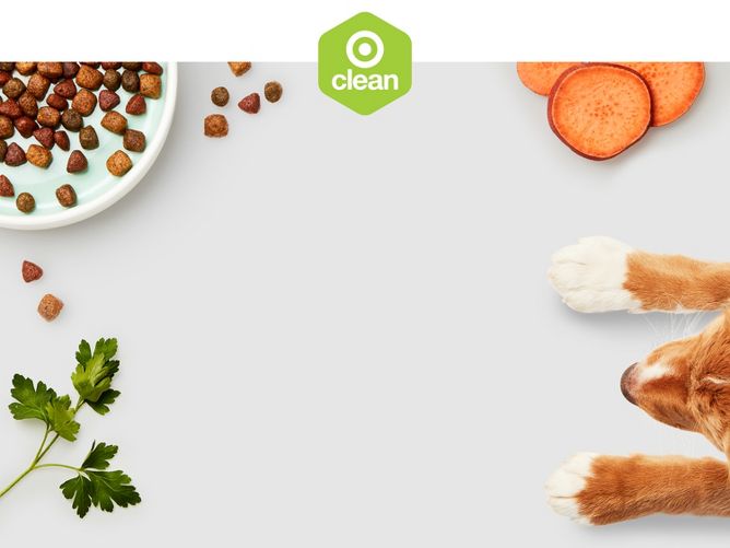 Ava white fish dog food online