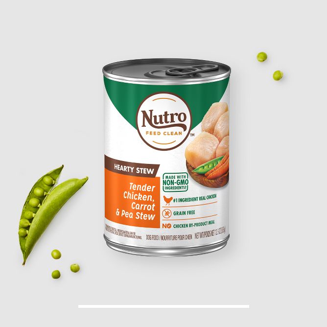 Nutro clean dog outlet food