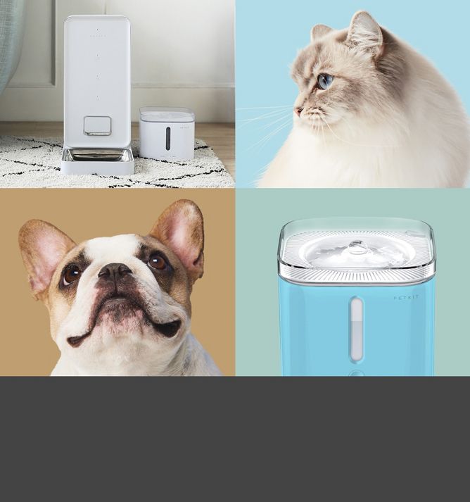 Dogness Smart Hd Wifi Camera Treat Dispenser - White : Target