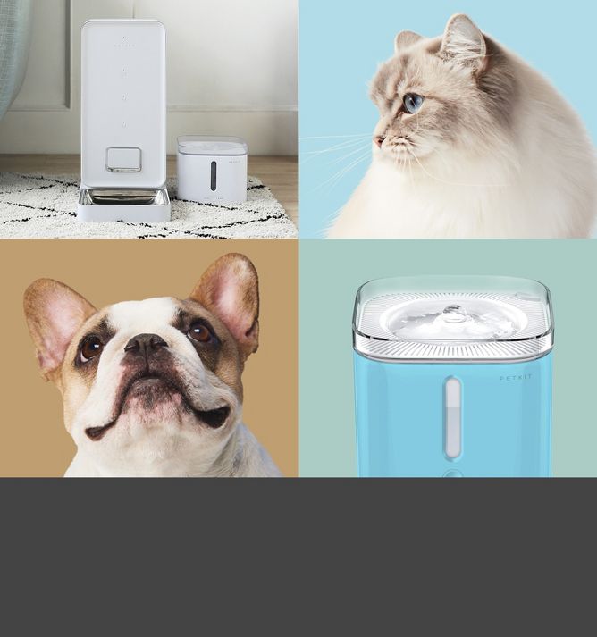 Dog outlet camera target
