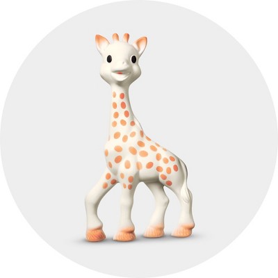 target baby rattles